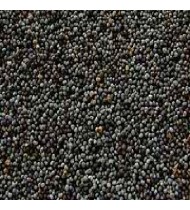 Seeds Poppy Seeds (1x5LB )